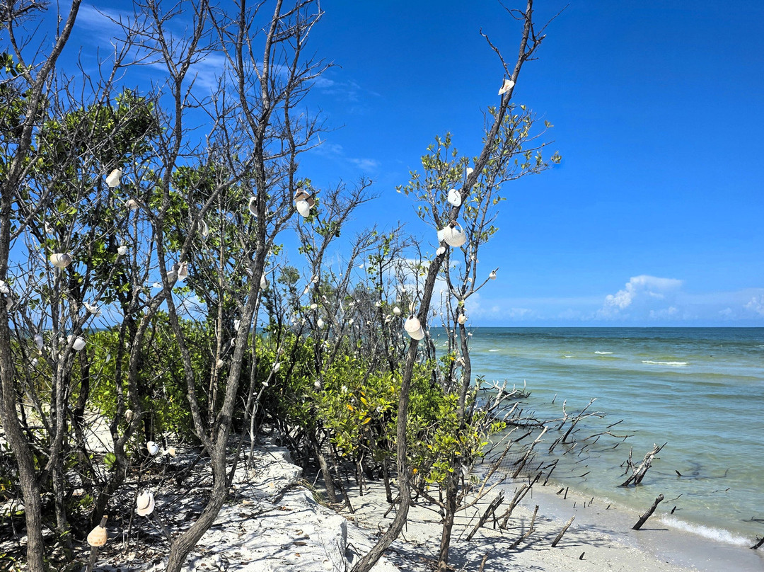 Shell Key Tour with Capt Yak-Tierra Verde必去景点