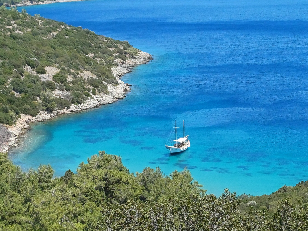 Panouris Ranch-Samos Town必去景点