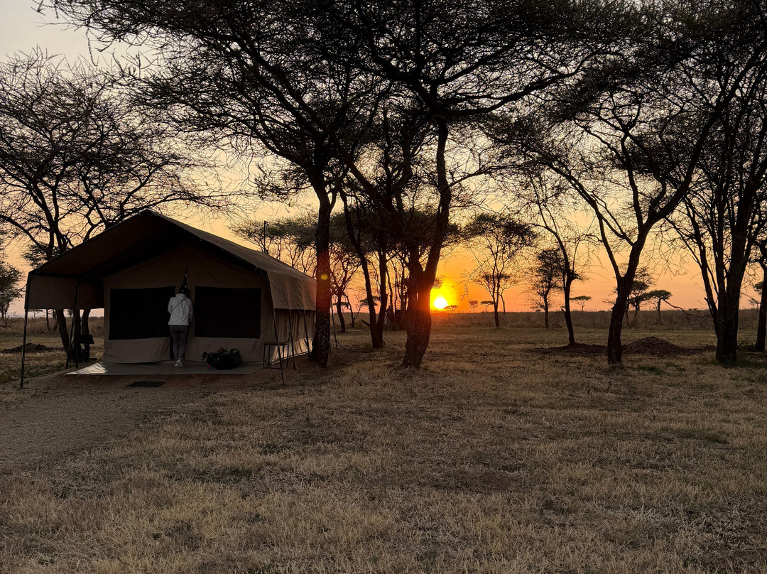 Tanzania-Experience-阿鲁沙必去景点