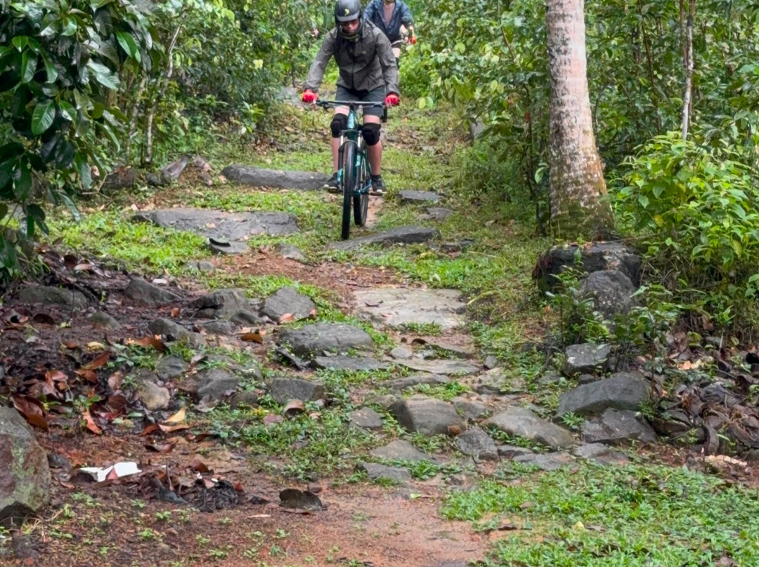 Downhill Mtb-Kitulgala必去景点