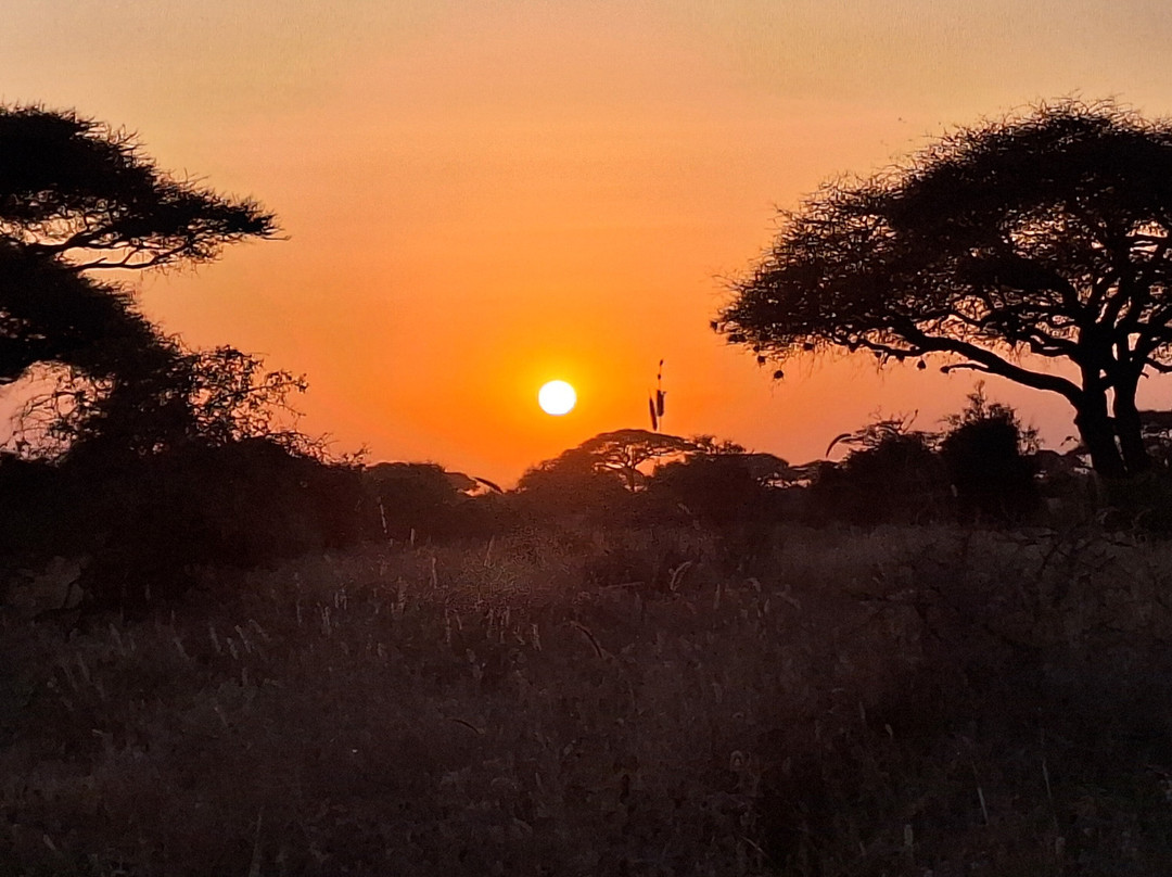 Shanjoy Tours and Safaris-Kikuyu必去景点