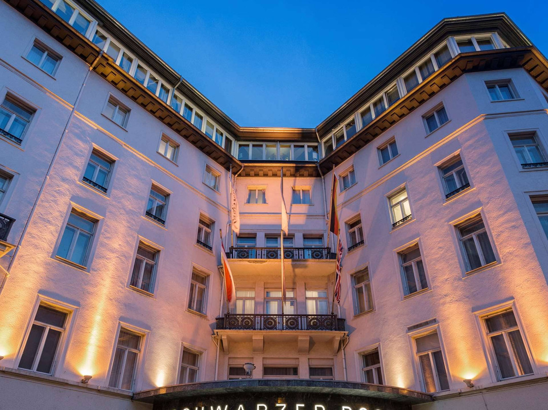 威斯巴登酒店住宿-Radisson Blu Schwarzer Bock Hotel Wiesbaden