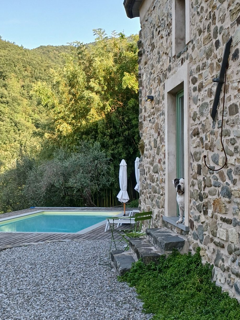 Encanto di Arlia-旅行者
