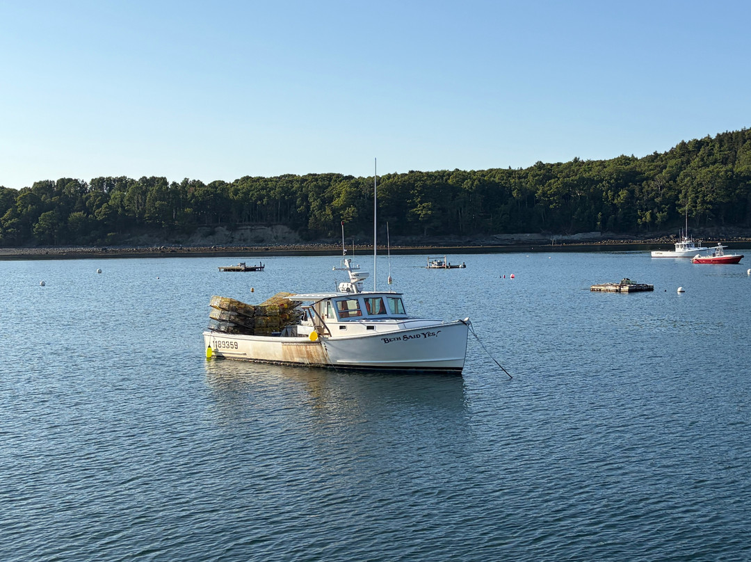 Bar Harbor Fishing Tours-山漠岛必去景点