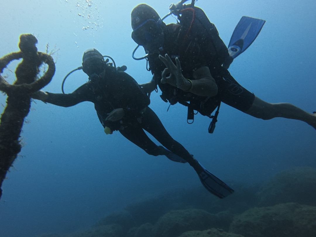 Dolphin Diving Center-雷斯蒙必去景点