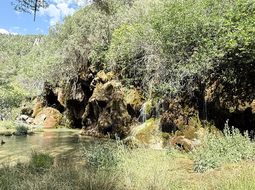 Nacimiento Del Rio Cuervo-Vega del Codorno必去景点