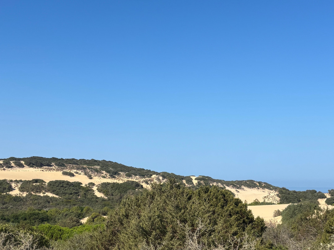Agriturismo Gragonti（农家乐格拉冈蒂）主图