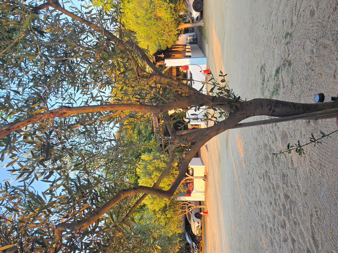 Taverna Apostolos
