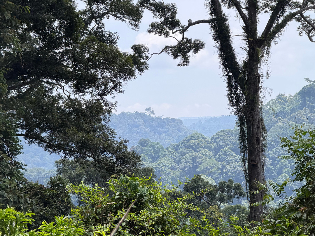 Maliau Basin Conservation Area-斗湖必去景点