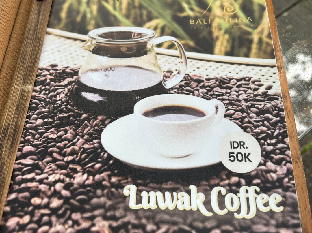 Bali Pulina Coffee Plantation-吉安雅必去景点