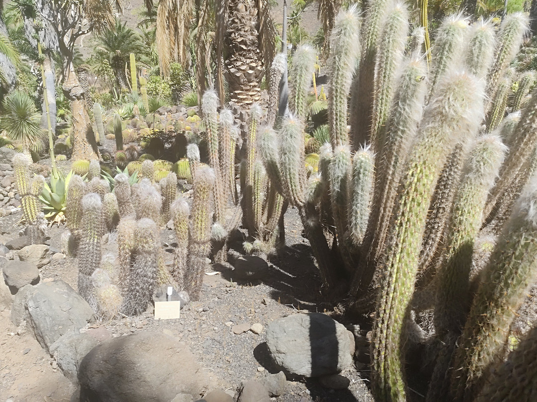 Cactualdea Park-San Nicolas必去景点