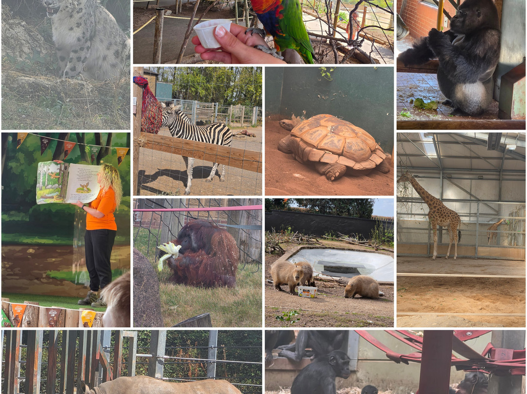 Twycross Zoo-Atherstone必去景点