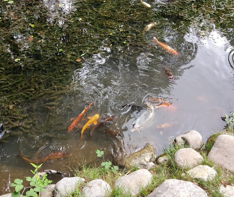 Parco Natura Viva-布索伦戈必去景点