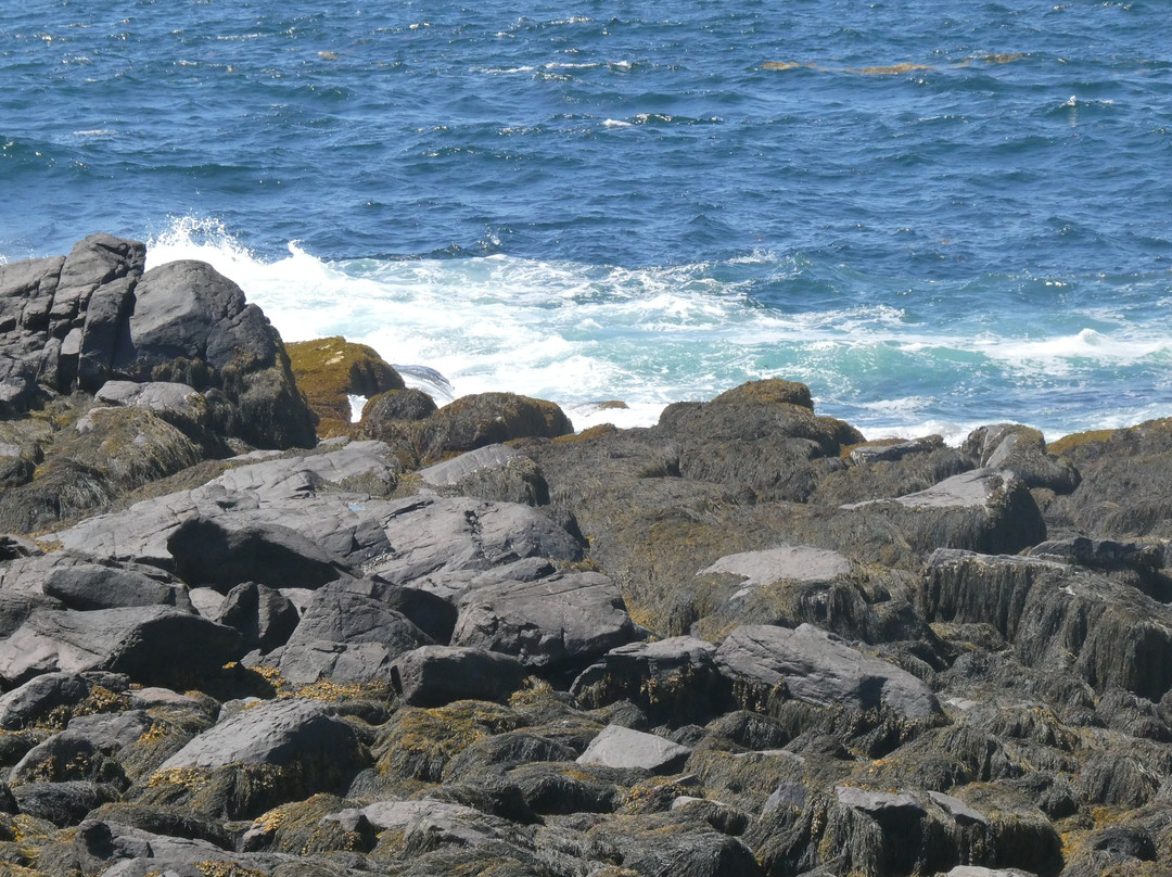 Monhegan Island-Monhegan Island必去景点