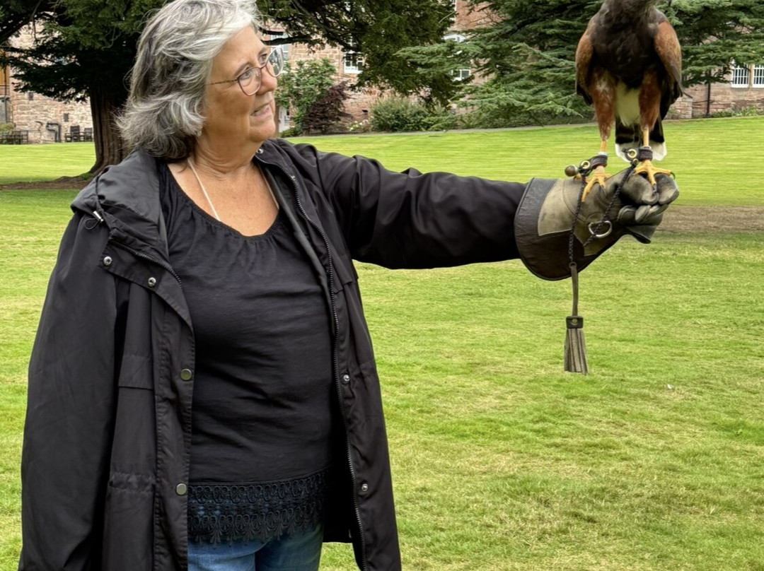 Dalhousie Castle Falconry-邦尼里格必去景点