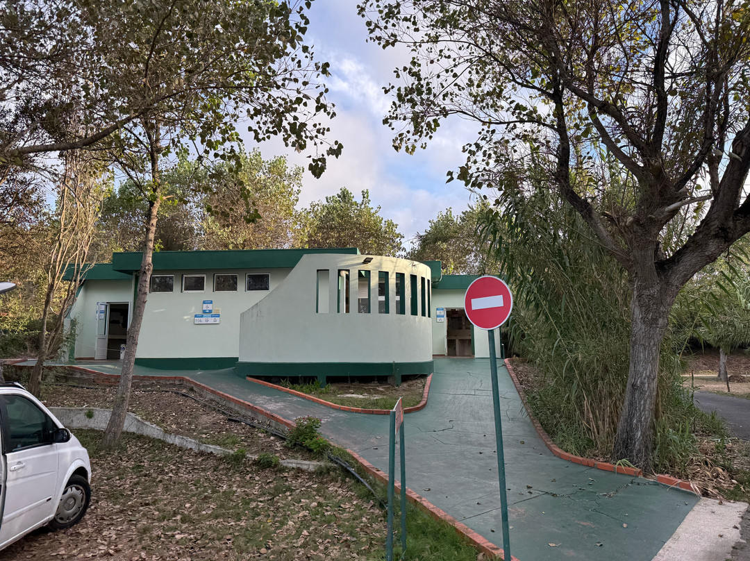 Camping Costa Nova