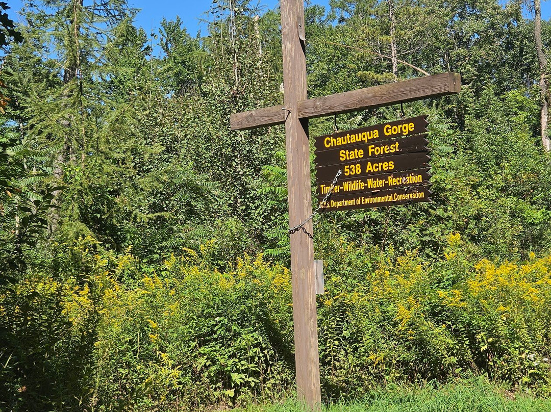 Chautauqua Gorge State Forest
