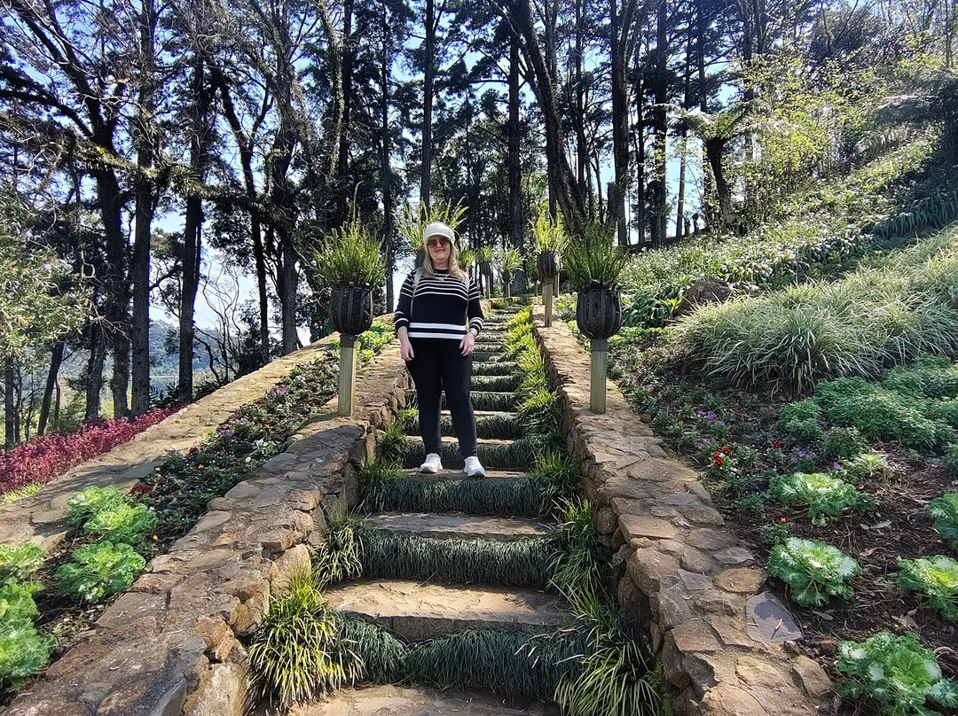 Le Jardin Parque de Lavanda-格拉玛多必去景点