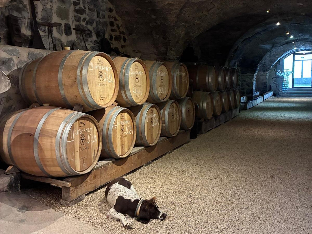 Domaine De Bournet-Grospierres必去景点