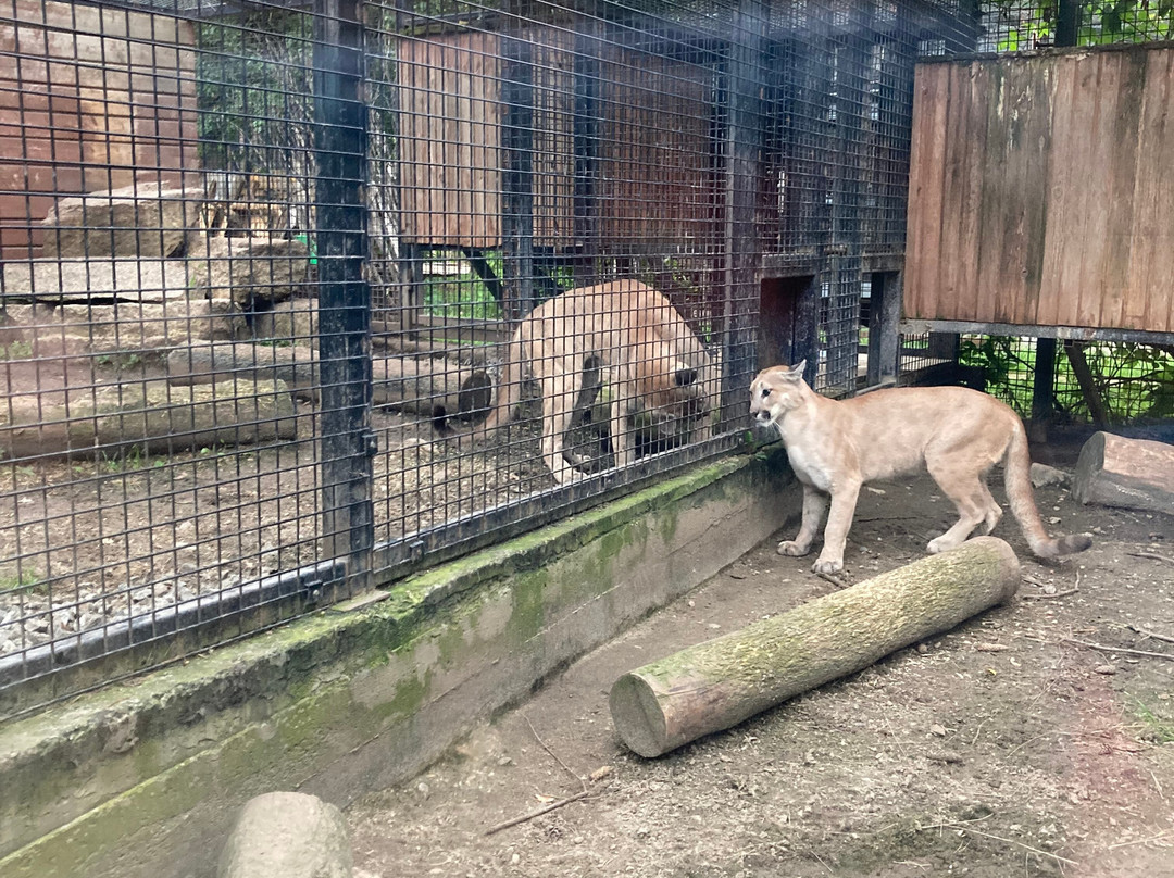 Chelyabinsk Zoo-车里雅宾斯克必去景点