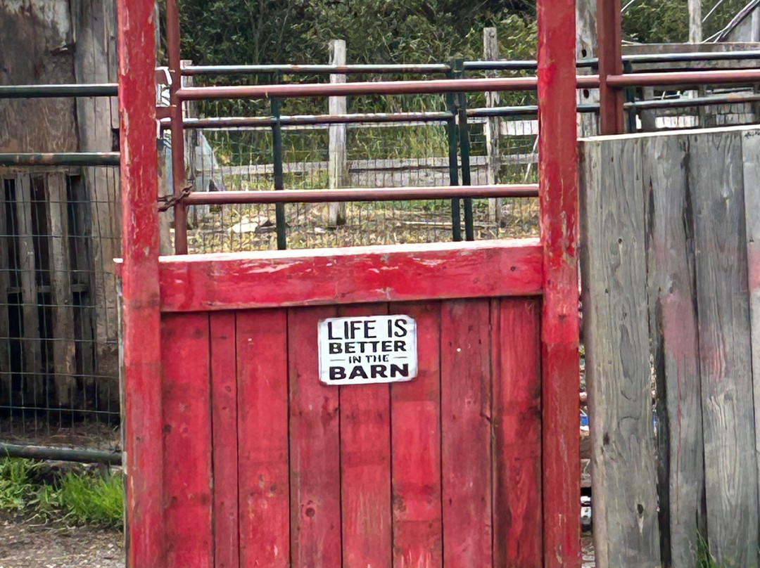 Robbins Family Farm-Deer Lake必去景点