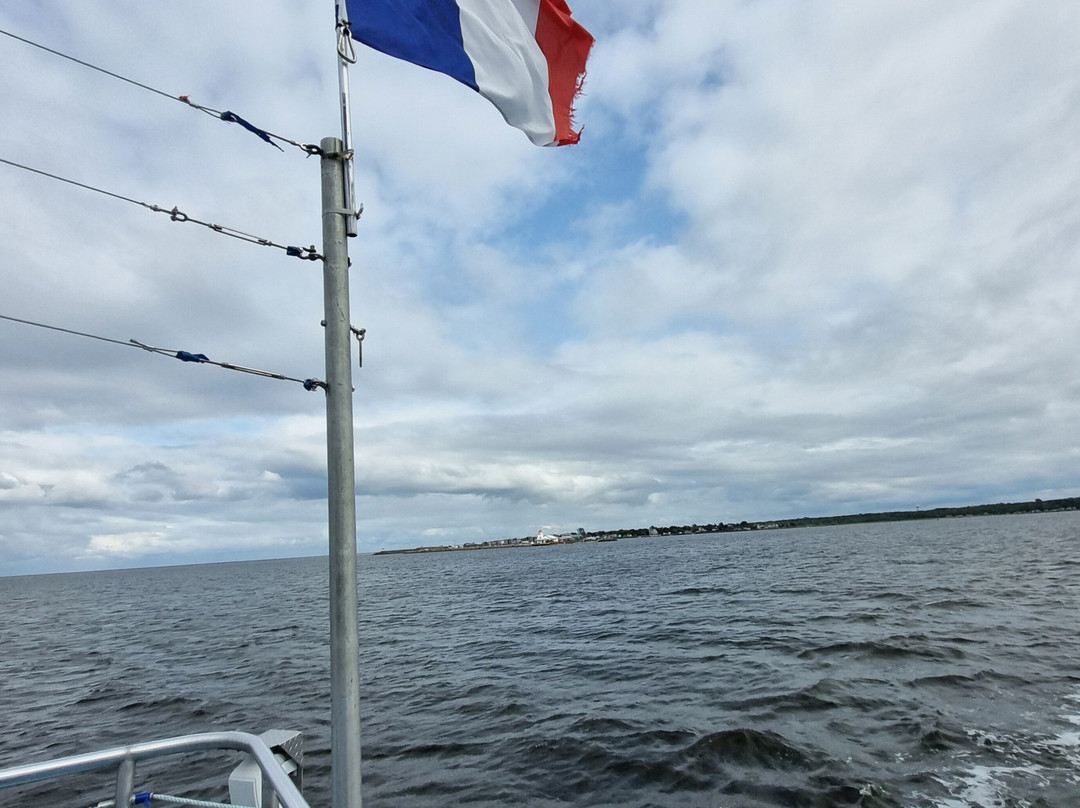 Croisieres Shediac Bay Cruises-Pointe-du-Chene必去景点