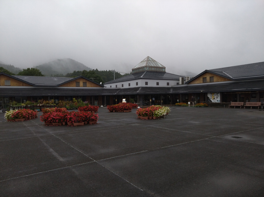 Momijidani Suspension Bridge-那须盐原市必去景点