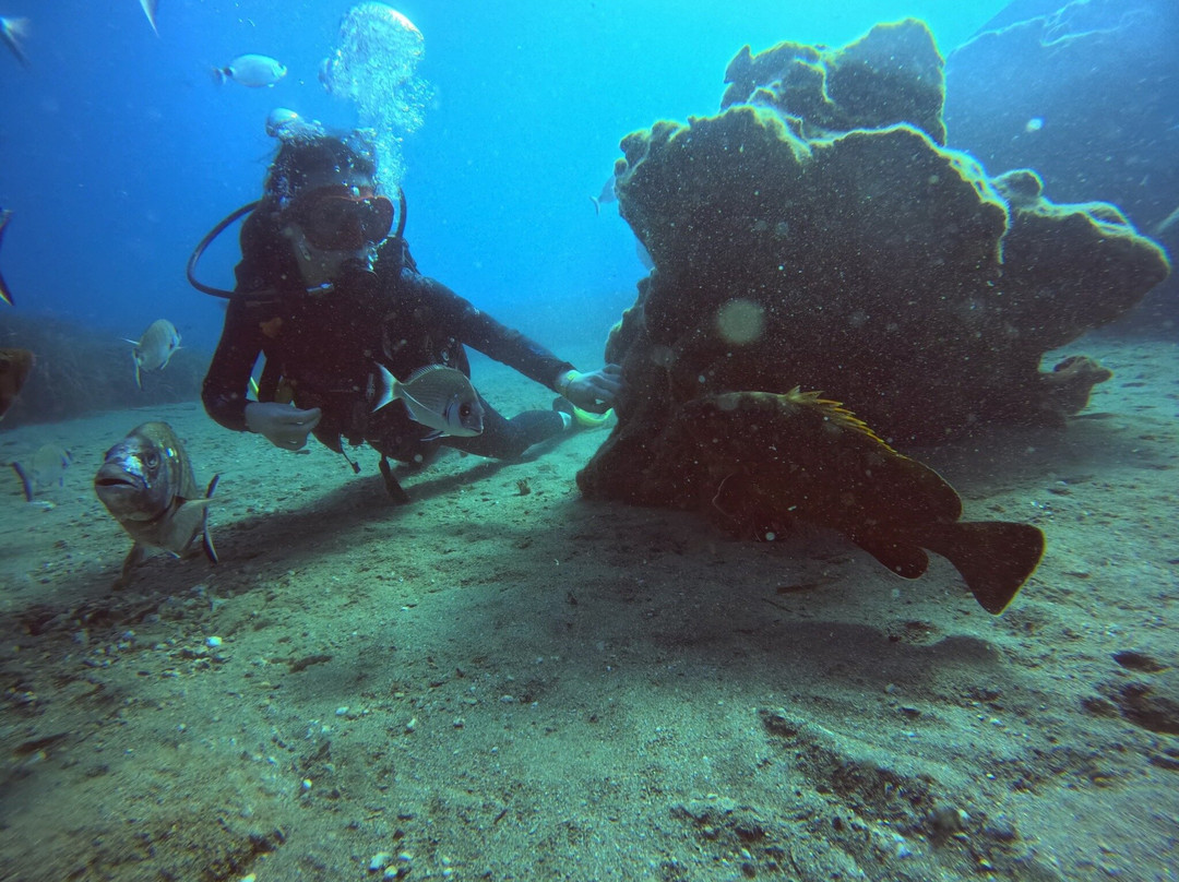 Hippocampus Dive Centre-巴厘必去景点