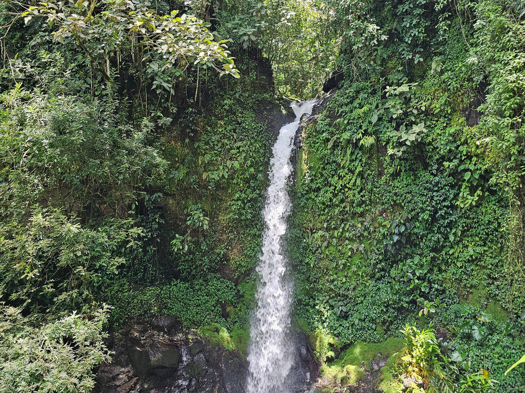 Manakin Waterfalls Nature Reserve.-Tilaran必去景点