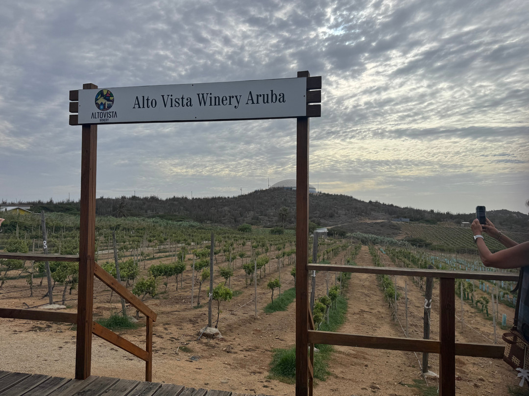 Alto Vista Winery-Noord必去景点