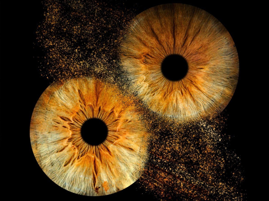 Iris Galerie Arnhem-阿纳姆必去景点