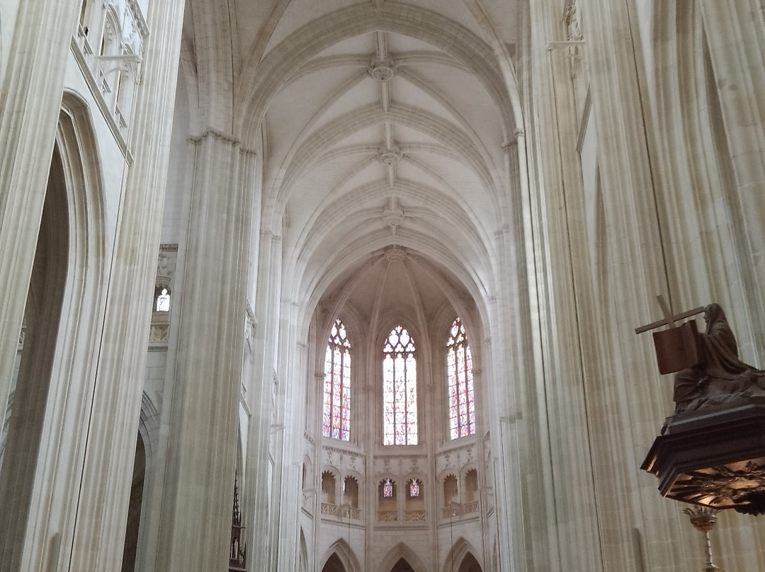 Cathédrale Saint-Pierre et Saint-Paul de Nantes-南特必去景点