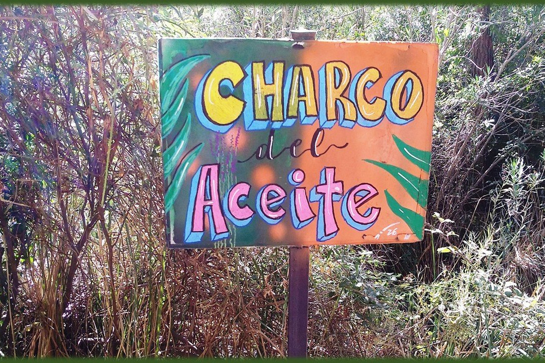 Charco de la Pringue-Villanueva del Arzobispo必去景点