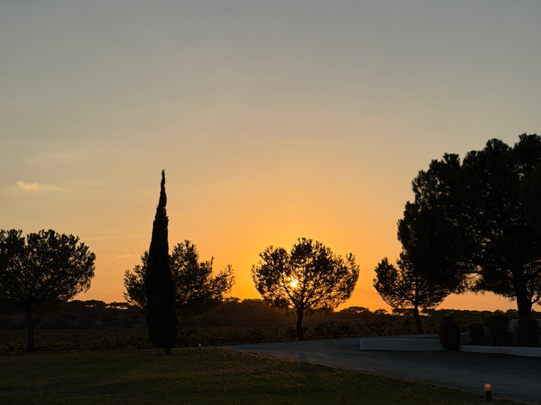 Herdade do Sobroso-Vidigueira必去景点