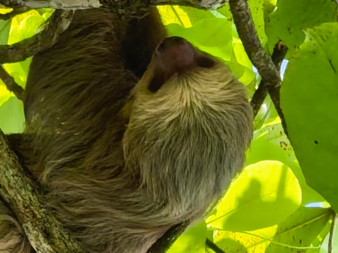 Arenas Travel Costa Rica-埃斯卡松必去景点