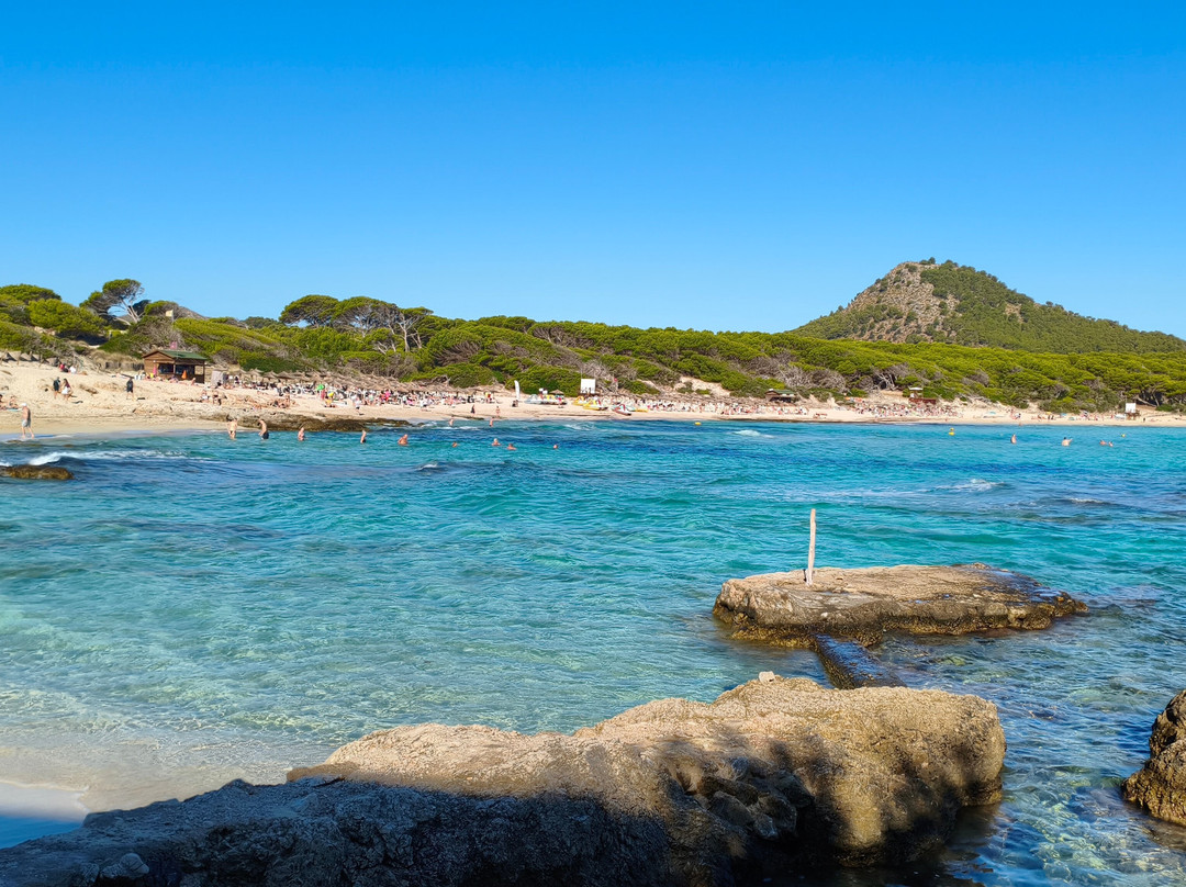 Cala Agulla-Cala Ratjada必去景点