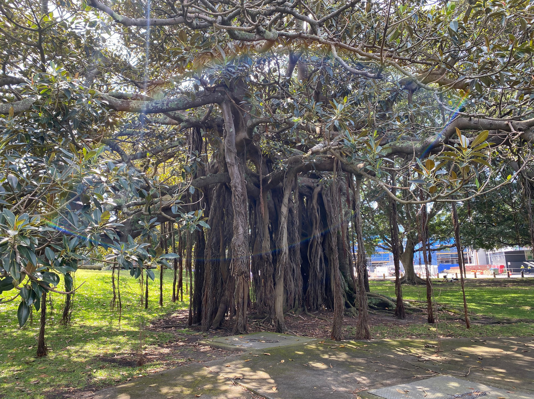 Kippax Lake Fountain & Statue-Moore Park必去景点