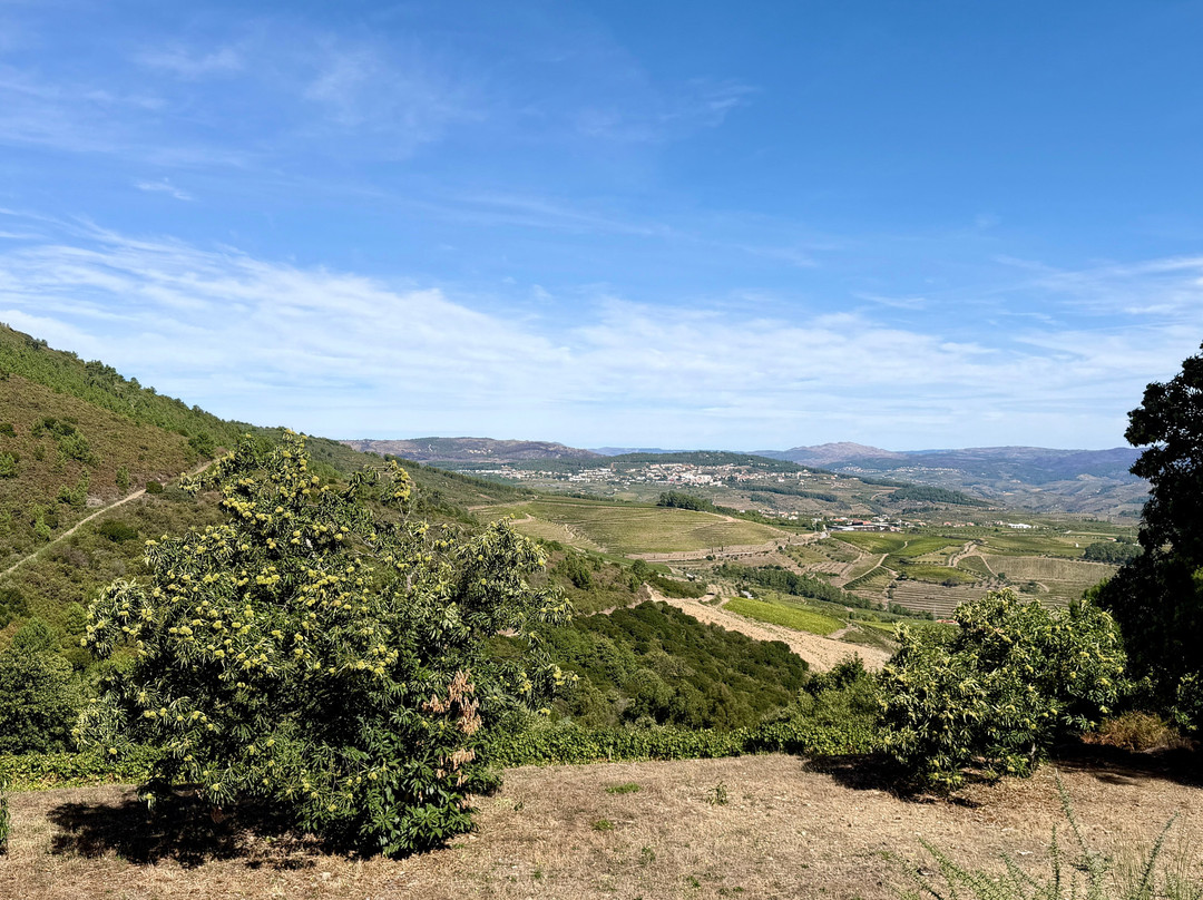 Quinta do Cume-Provesende必去景点