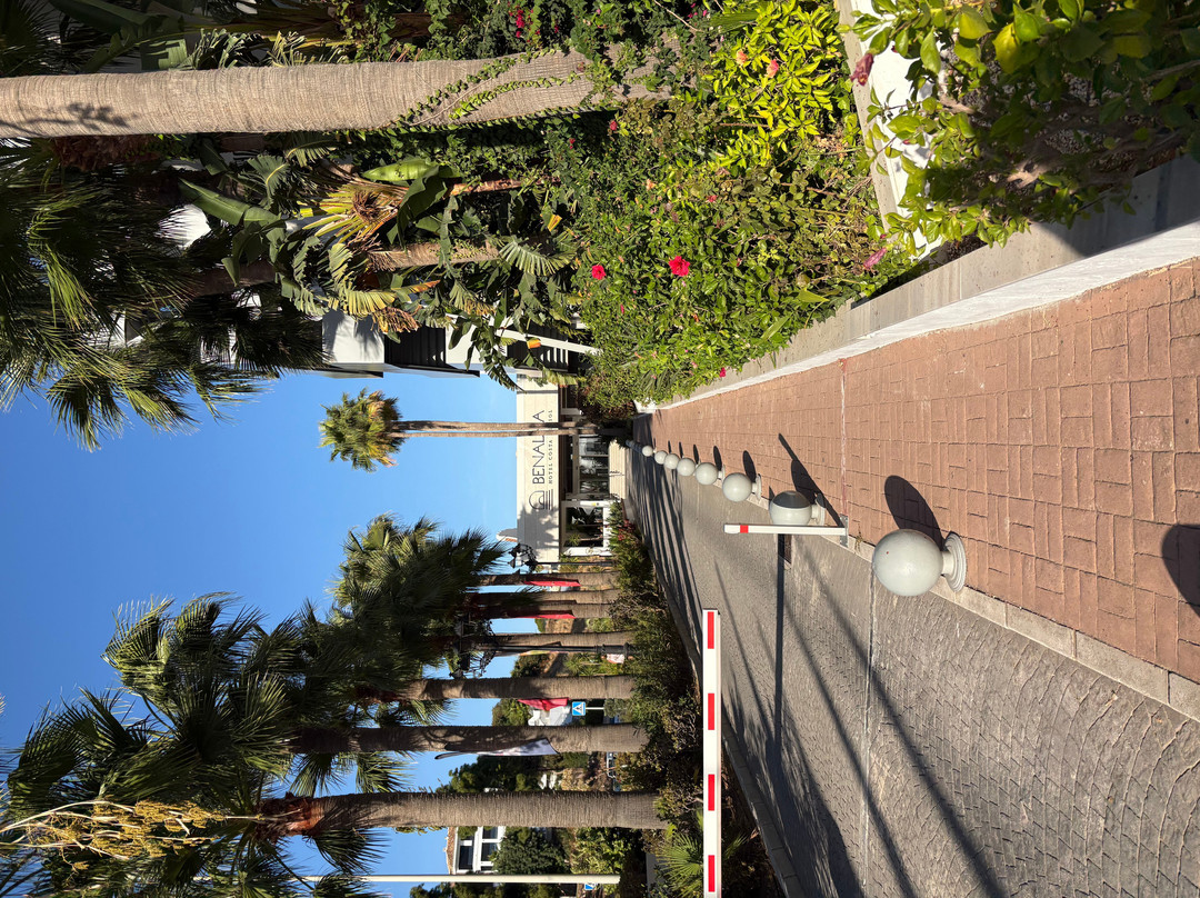 太阳海岸贝纳尔马酒店主图