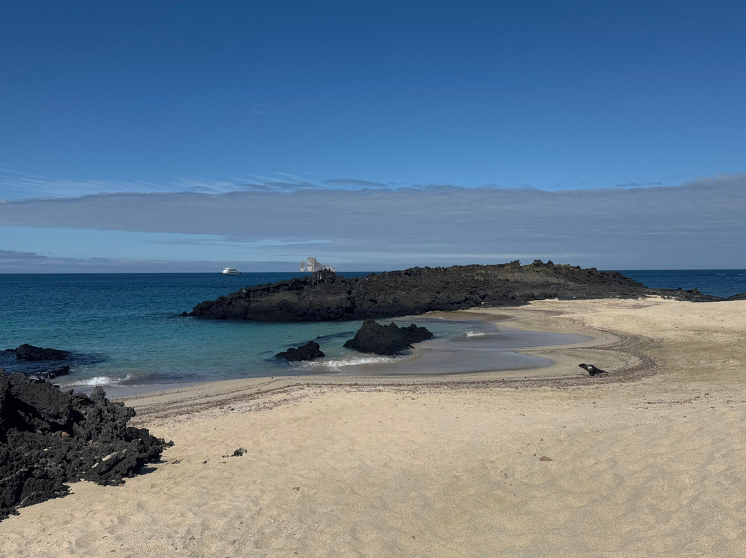 Cruise In Galapagos-阿约拉港必去景点