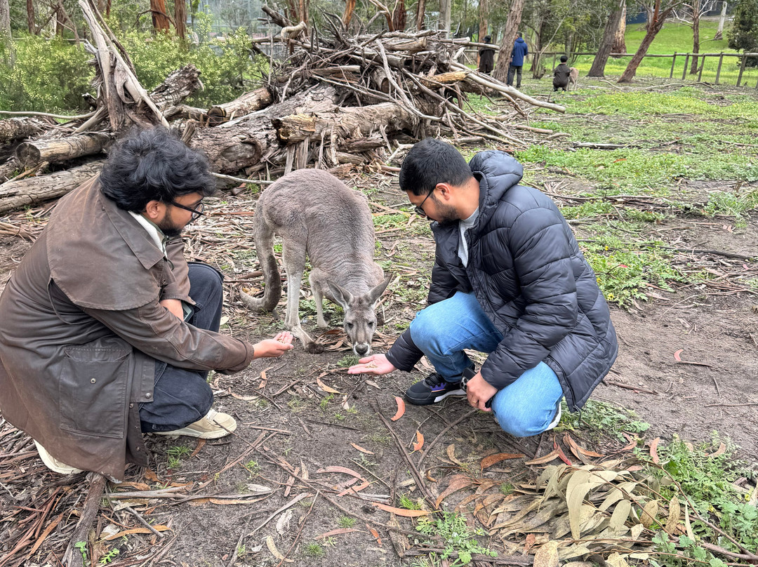 Softfoot Farm & Wildlife Park-Hindmarsh Valley必去景点