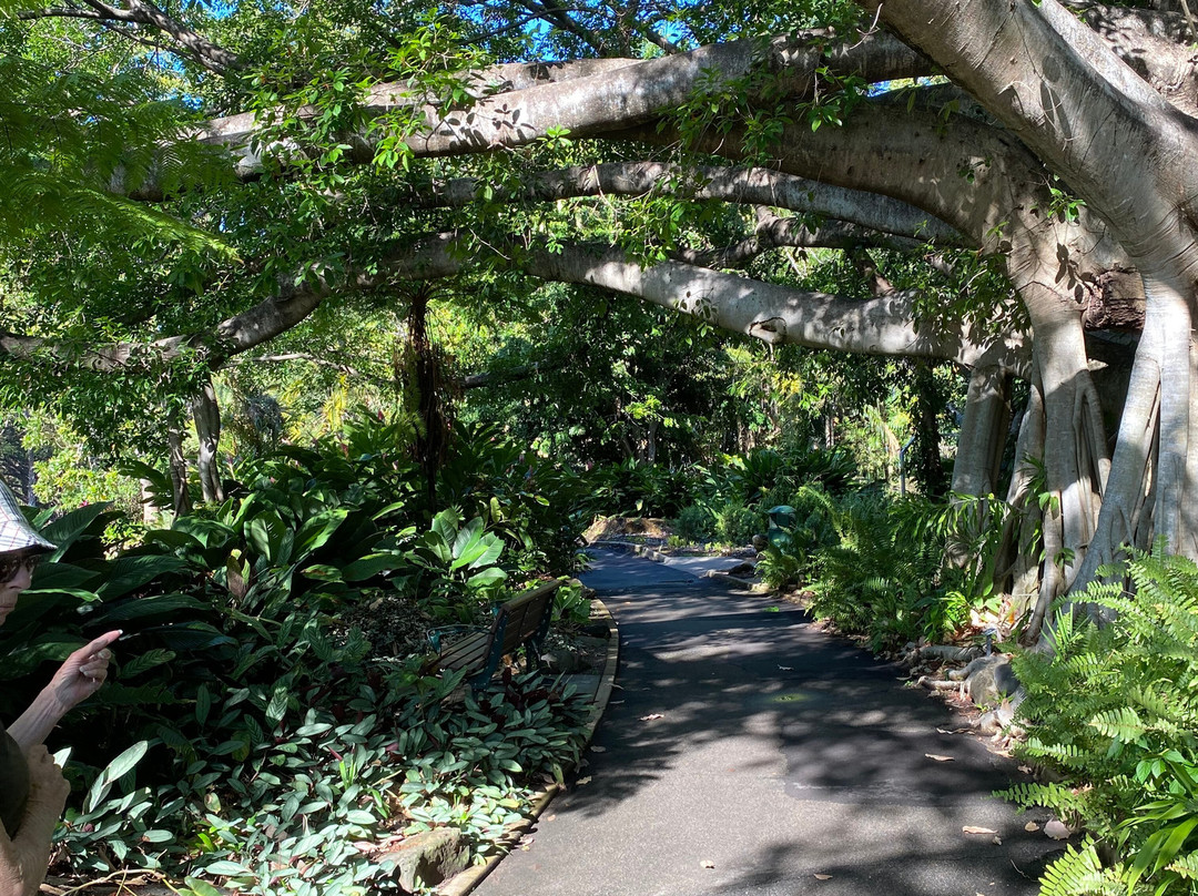 Botanic Gardens-汤斯维尔必去景点
