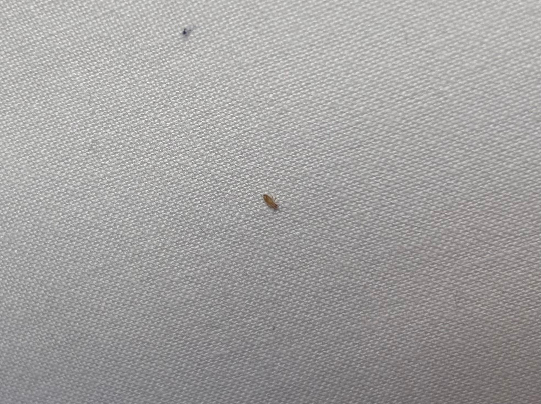 林斯托范德瓦尔克度假酒店主图