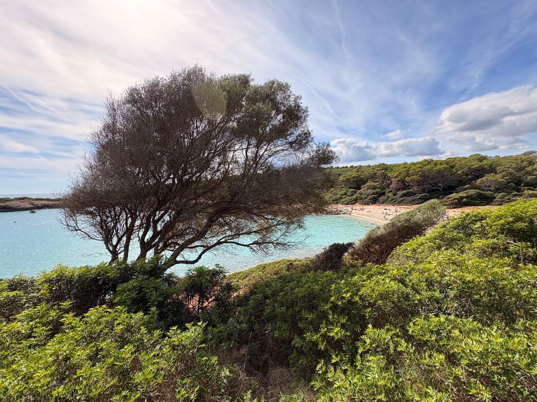 Cala Varques-Calas de Majorca必去景点