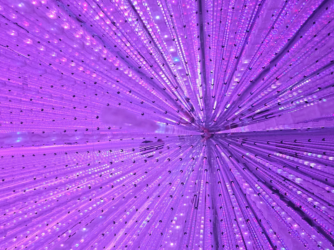 teamLab Planets TOKYO-Toyosu必去景点