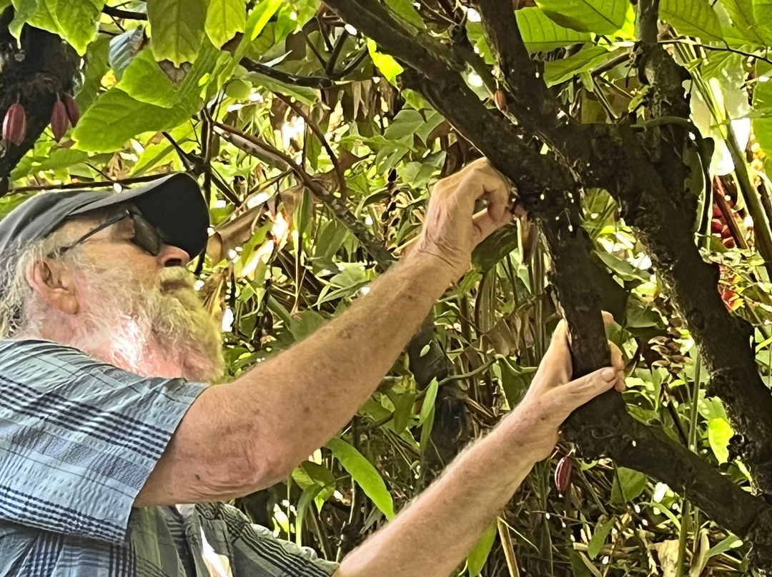 Hilo Shark Tours-帕派科欧必去景点