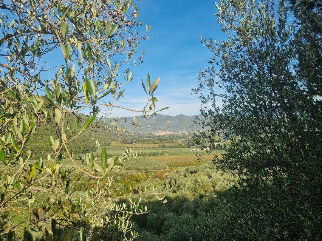 Monastero benedettino Santa Maria Rosano-阿尔诺河畔里尼亚诺必去景点