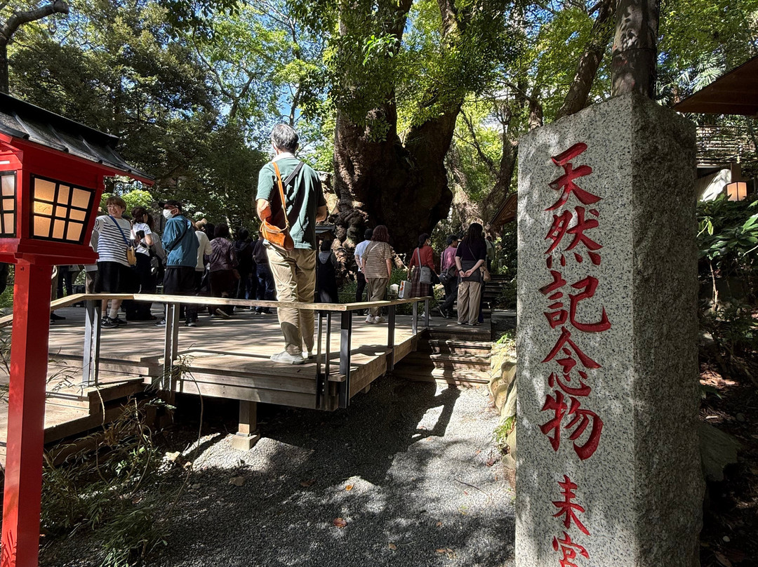 来宫神社-热海市必去景点
