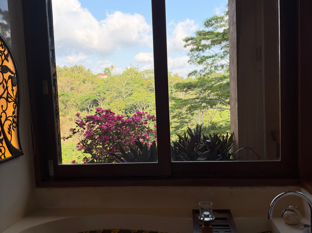 The Kayon Jungle Resort  (Adult Only)主图