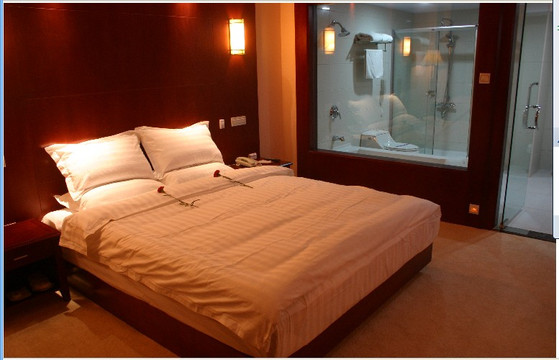 大理苍山饭店主图